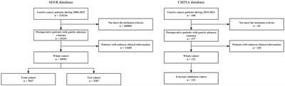 Deep learning model for predicting postoperative survival of patients with gastric cancer